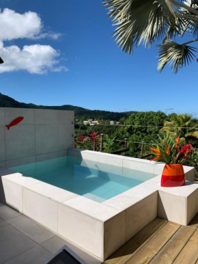 Case Oiseaux de paradis avec piscine